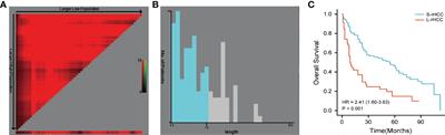 Early-Stage Ruptured Hepatocellular Carcinoma With Different Tumor Diameters: Small Tumors Have a Better Prognosis